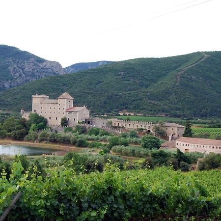 Appartement Castell De Riudabella à Vimbodi I Poblet Extérieur photo