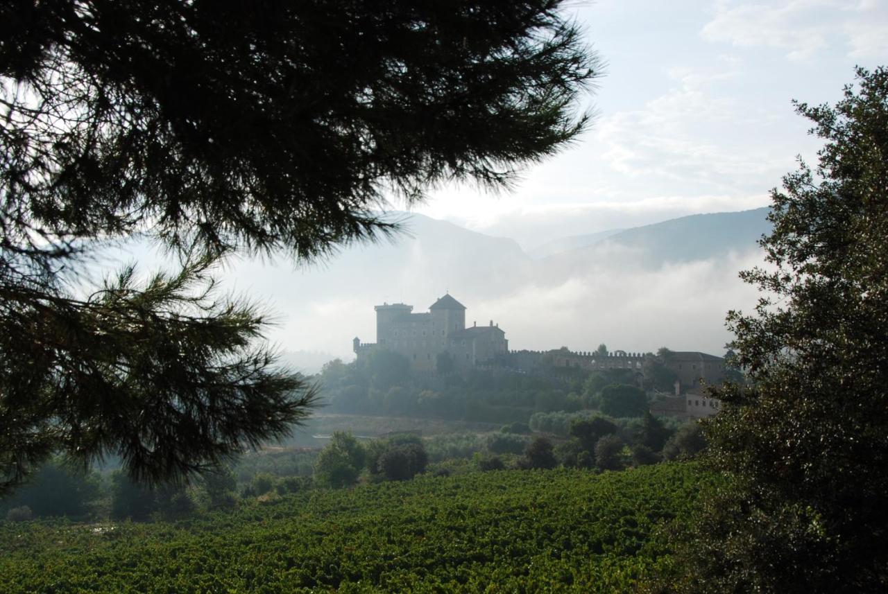 Appartement Castell De Riudabella à Vimbodi I Poblet Extérieur photo