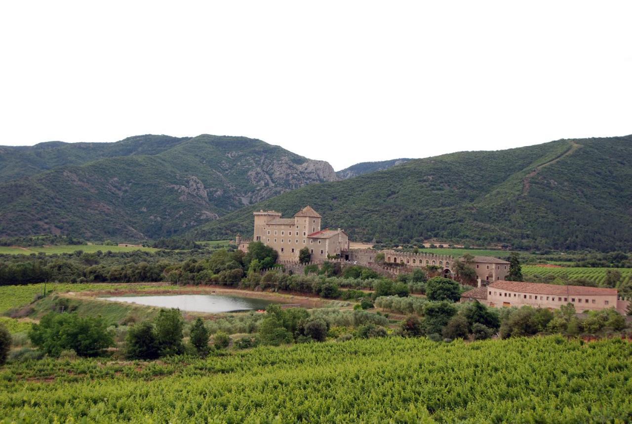 Appartement Castell De Riudabella à Vimbodi I Poblet Extérieur photo