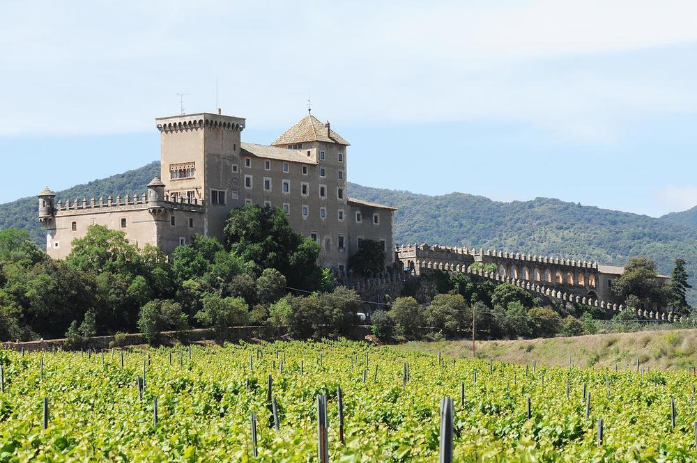 Appartement Castell De Riudabella à Vimbodi I Poblet Extérieur photo