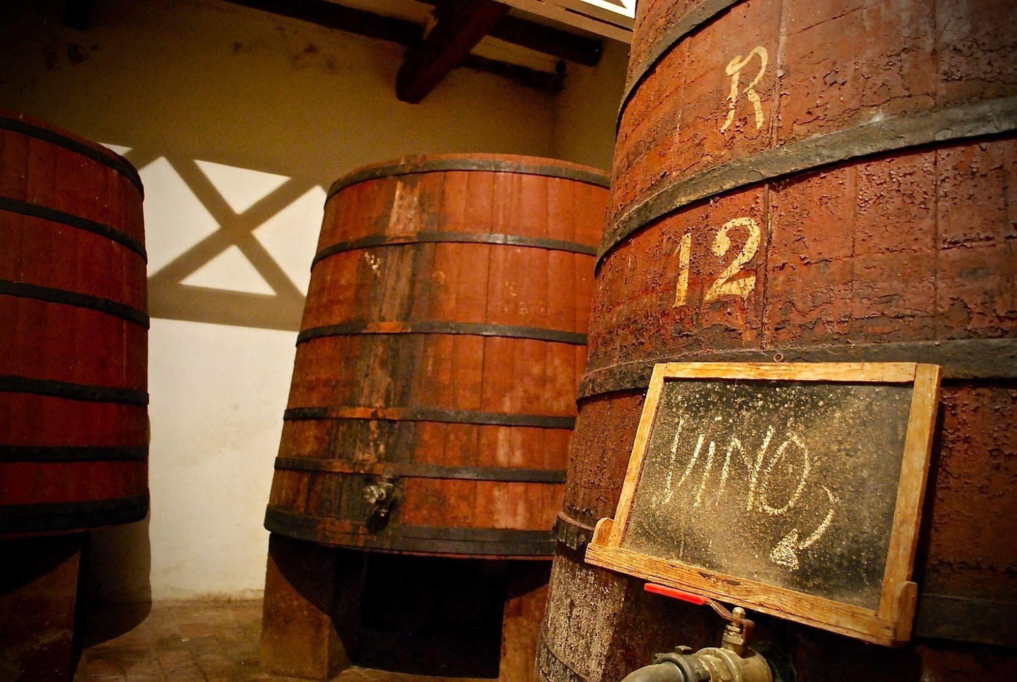Appartement Castell De Riudabella à Vimbodi I Poblet Extérieur photo